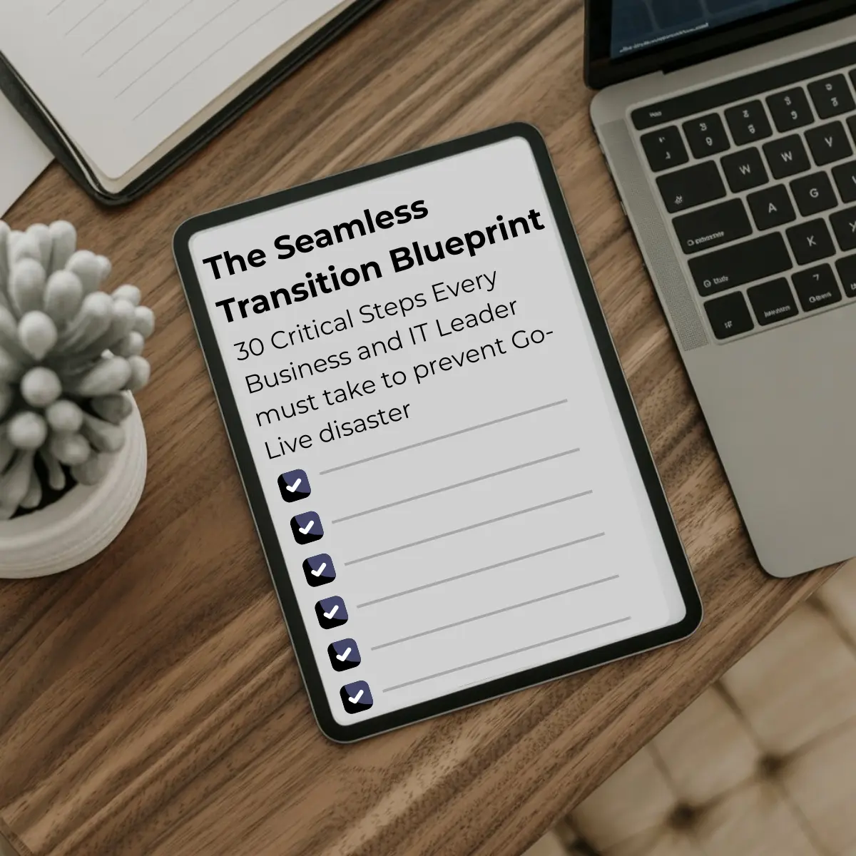 Seamless Transition Bleuprint The Seamless Transition Blueprint Cover